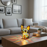 Sjarmerende Chihuahua Anheng